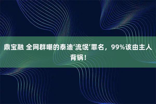 鼎宝融 全网群嘲的泰迪‘流氓’罪名，99%该由主人背锅！