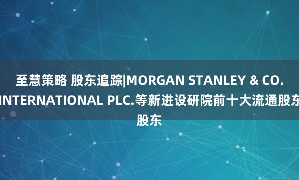 至慧策略 股东追踪|MORGAN STANLEY & CO. INTERNATIONAL PLC.等新进设研院前十大流通股东